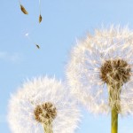 Eléments chauffants pour le chauffage du air et gaz